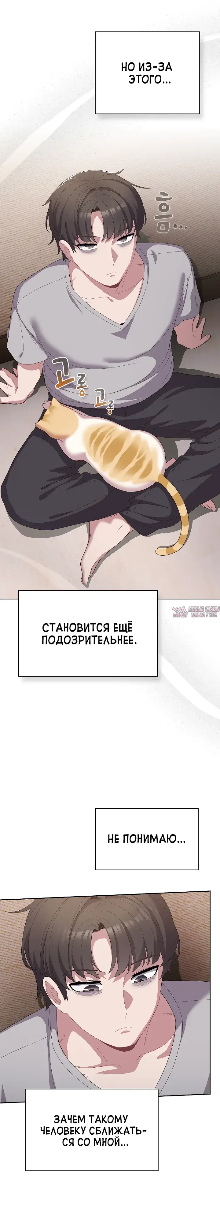 «Сведённые котом», глава 4, страница 7.000000000