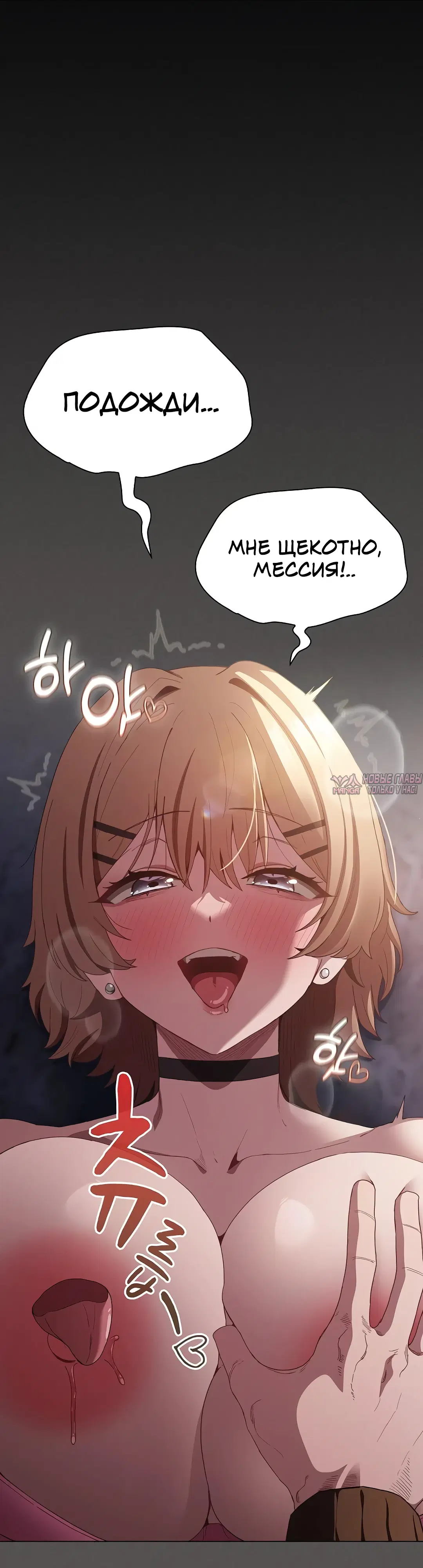 Page 33.000