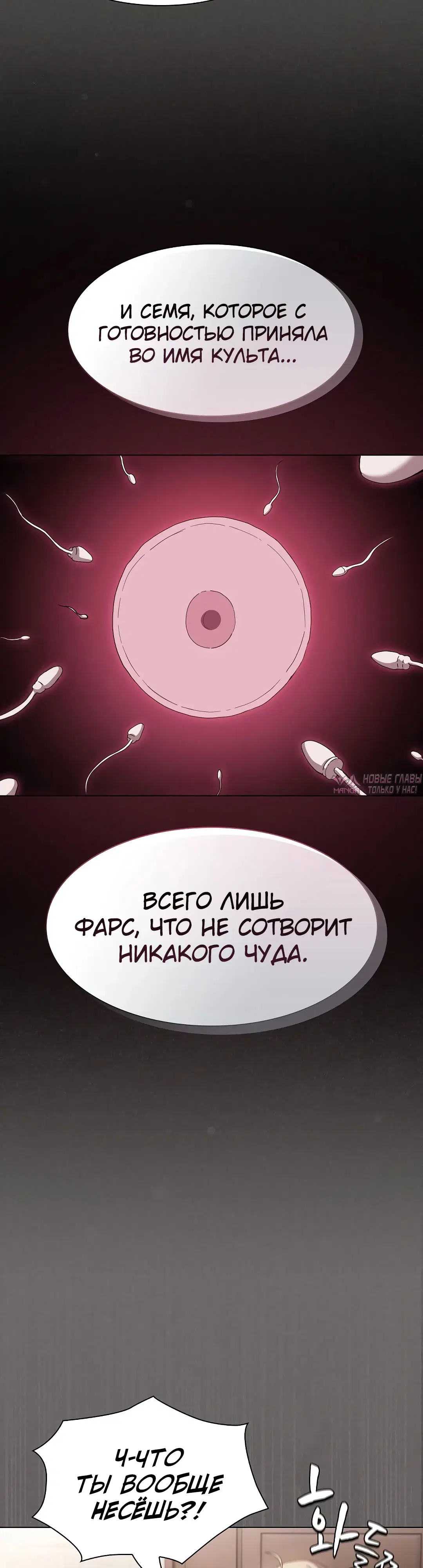 Page 52.000