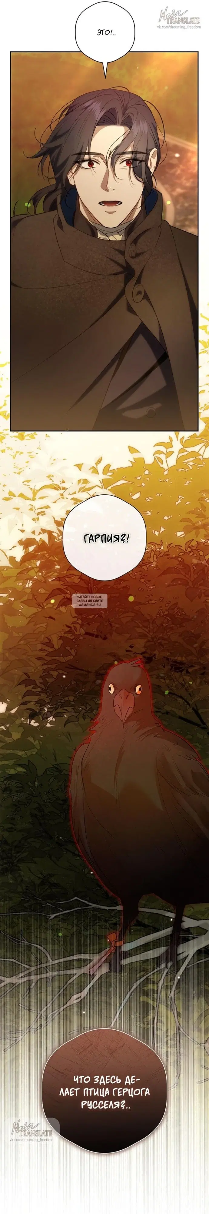 Page 37.000