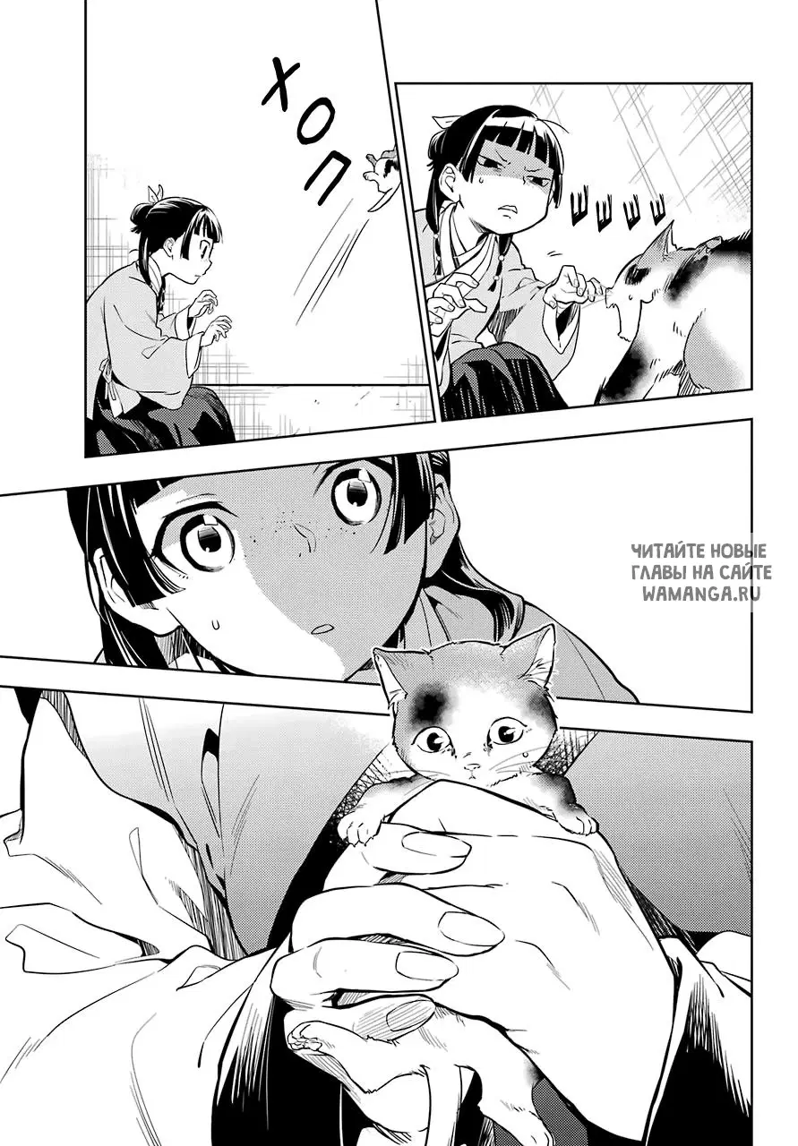 Page 11.000