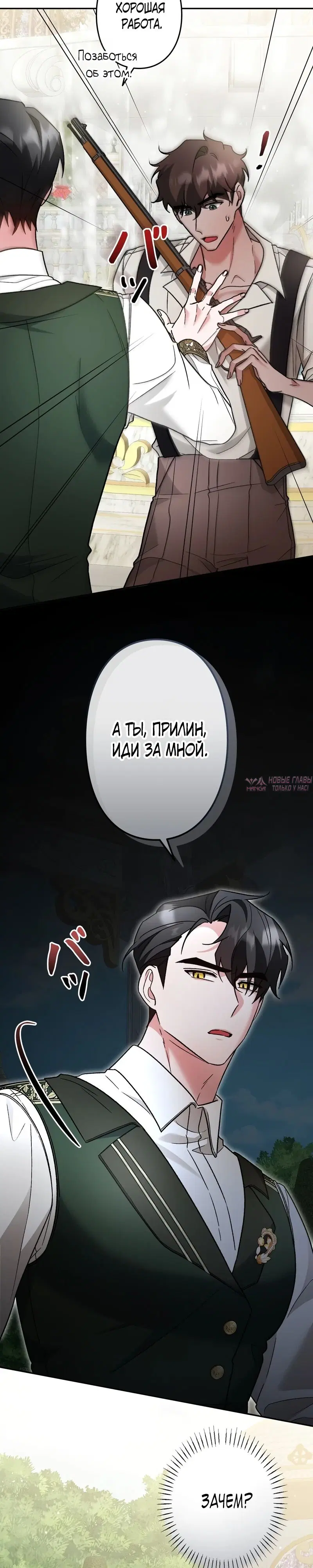 «Бывшая молодая леди попала в ловушку судьбы», глава 19, страница 19.000000000