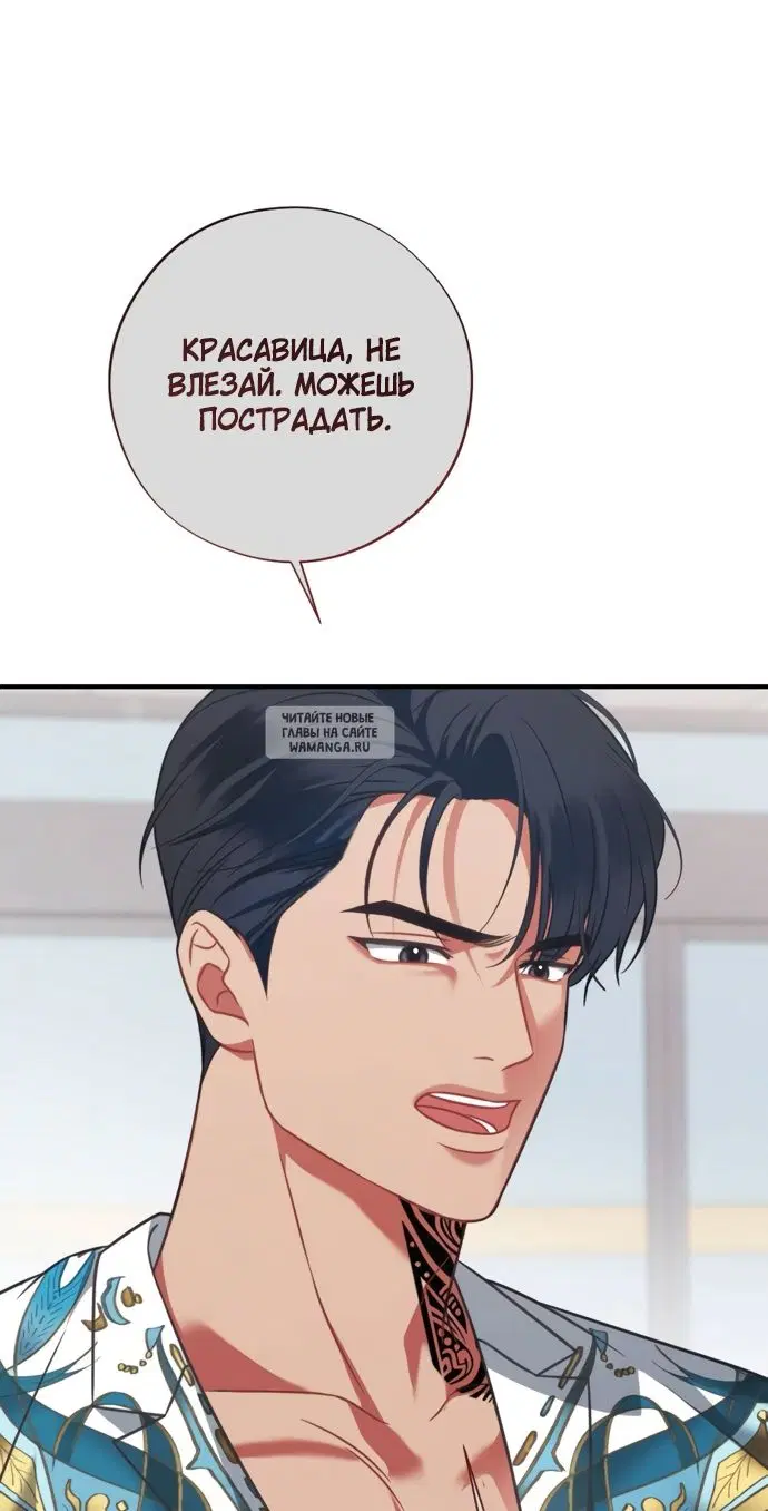 Page 55.000