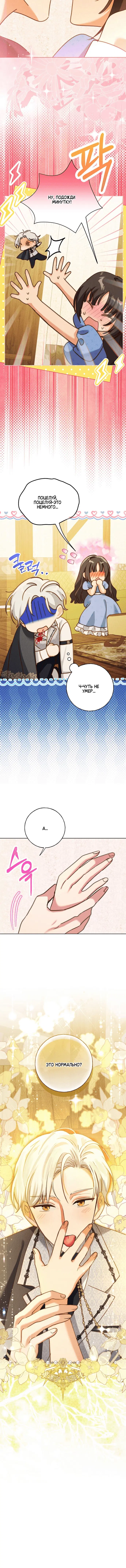 Page 5.001