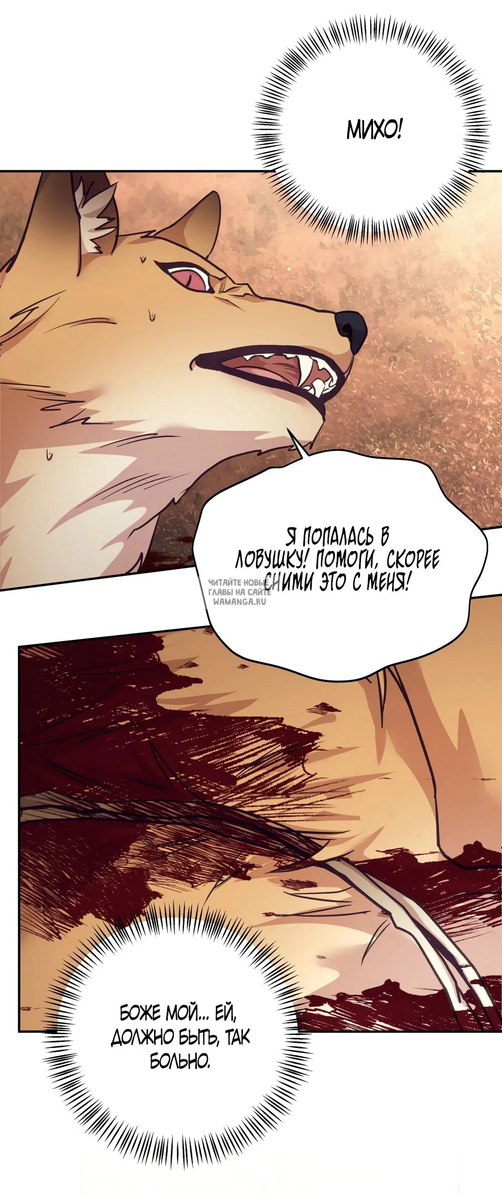 Page 44.000