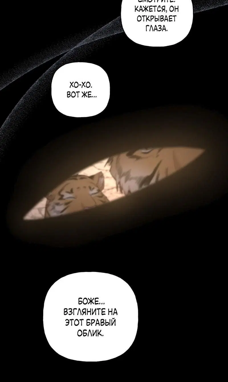 Page 8.001