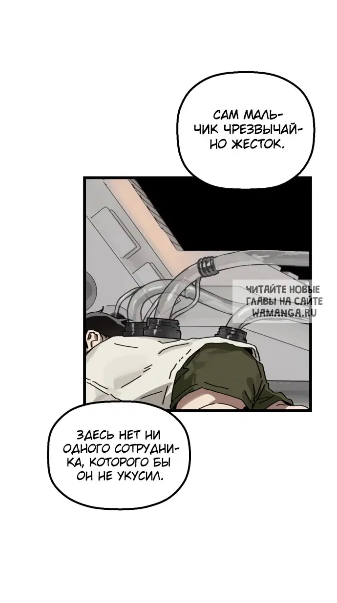 Page 43.000