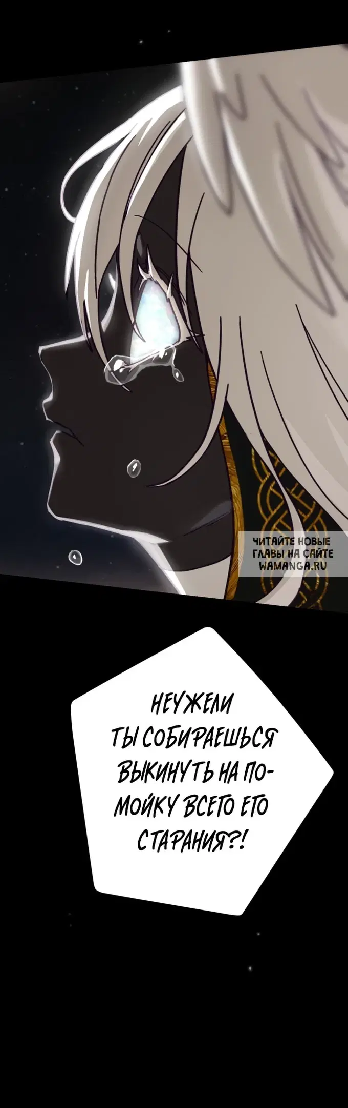 Page 51.000