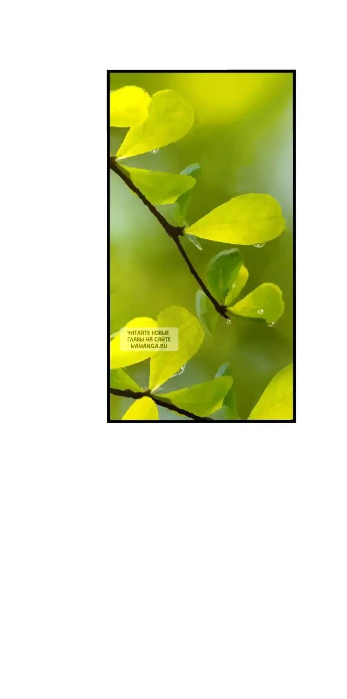 Page 75.000