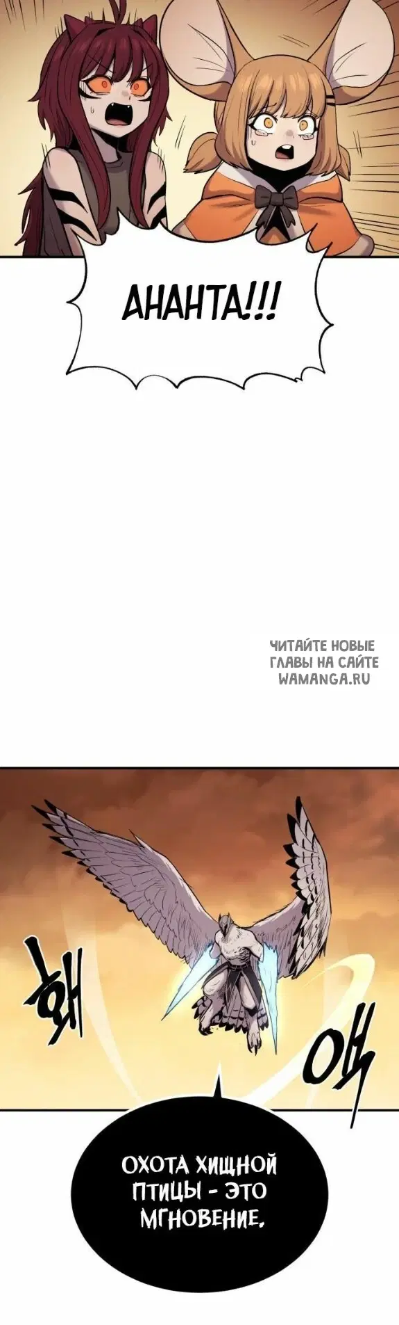 Page 25.000