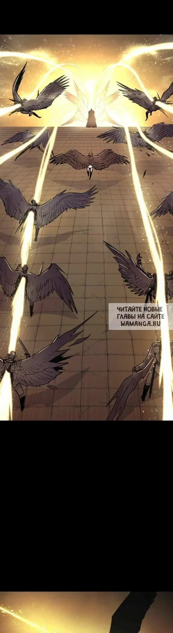Page 41.000