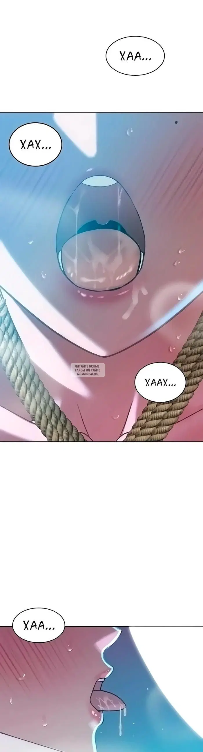 Page 41.000