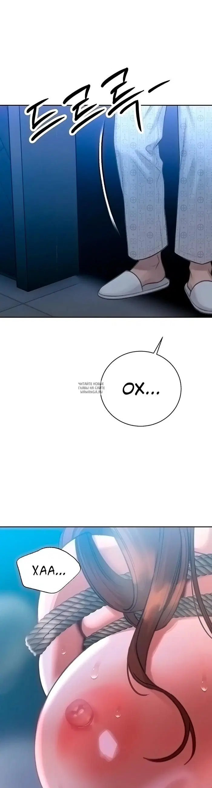 Page 51.000