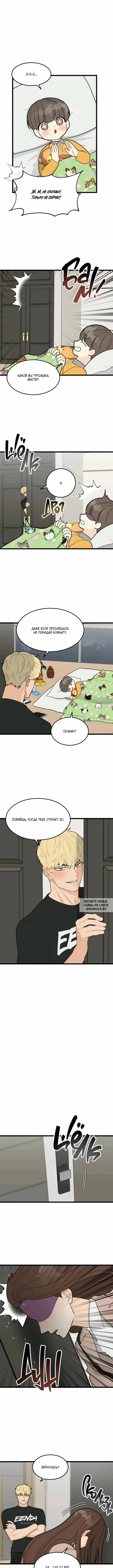 Page 6.000
