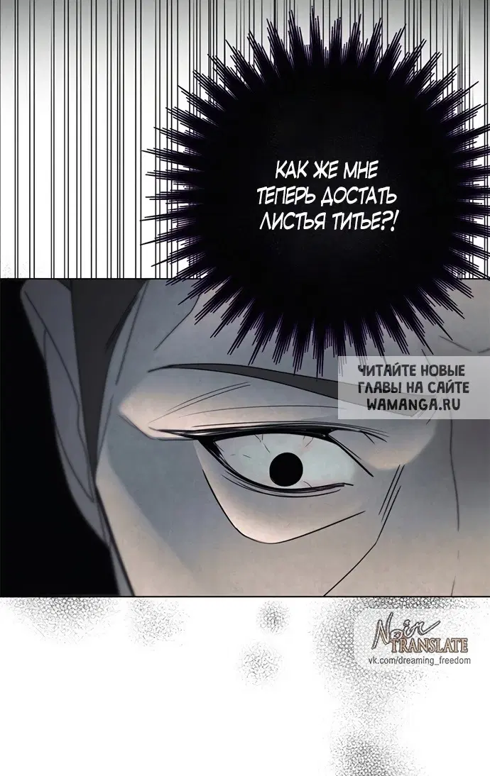 Page 25.000