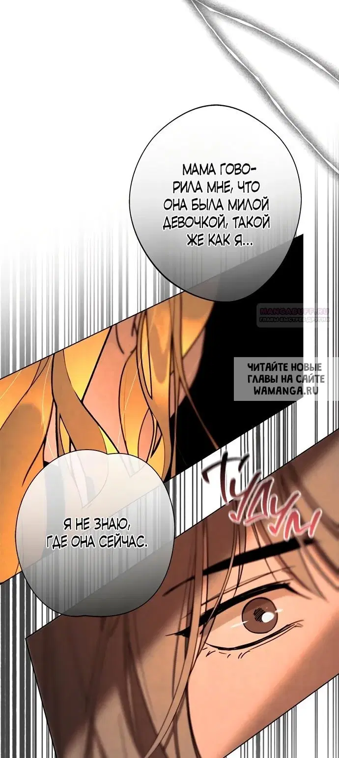 Page 25.000