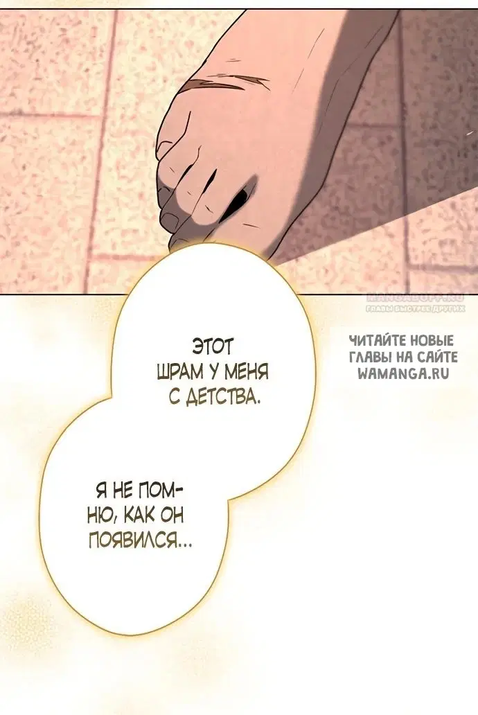 Page 43.000