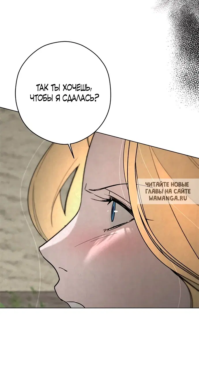 Page 55.000