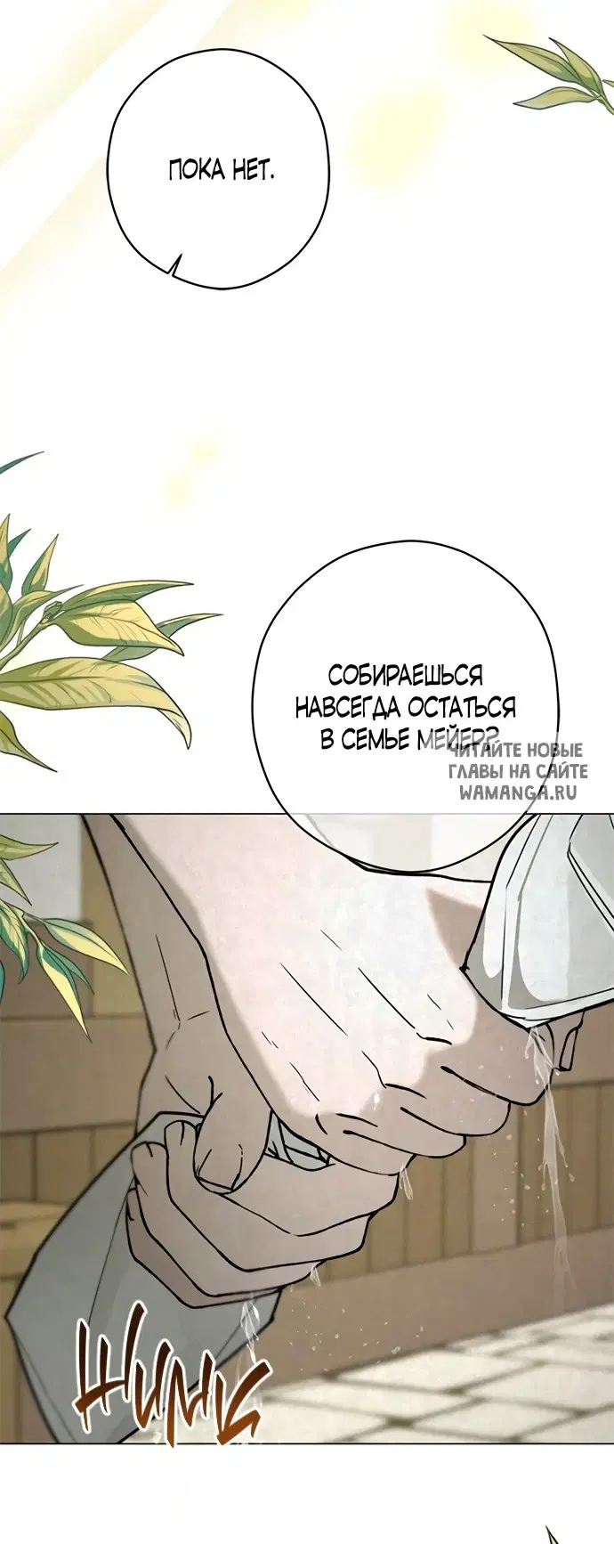 Page 50.000