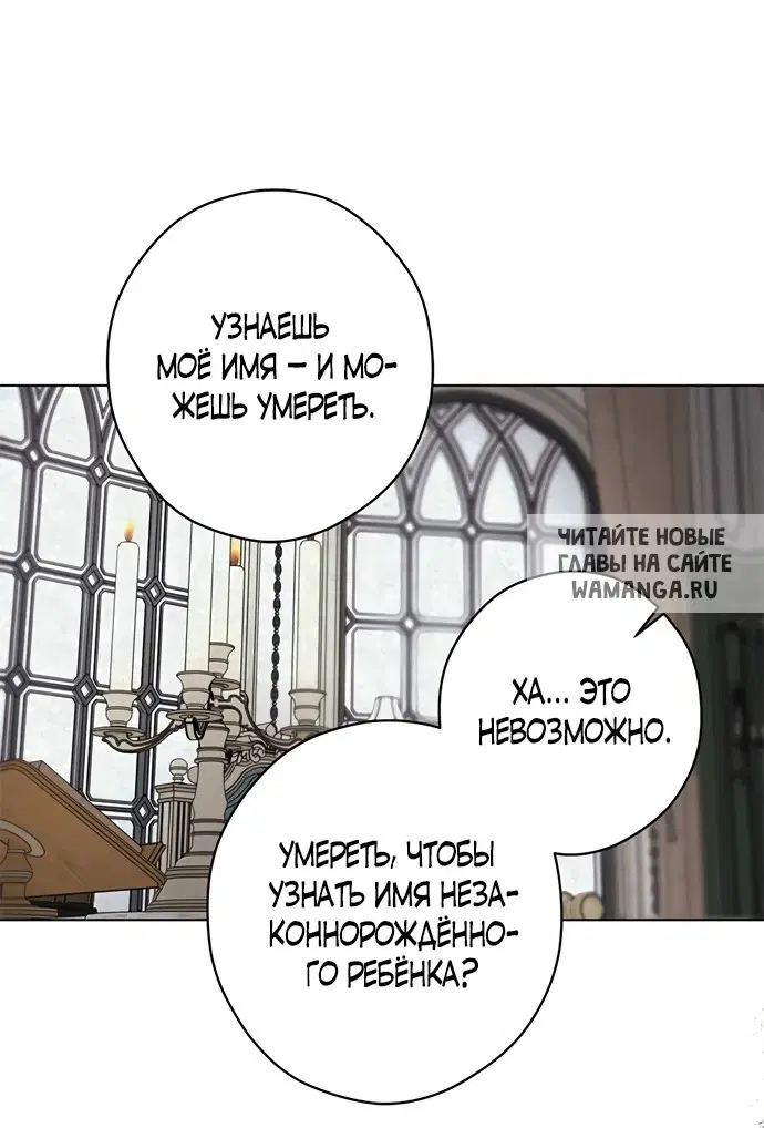 Page 51.000