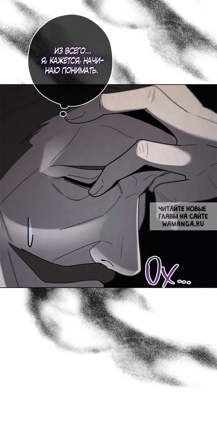 Page 51.000