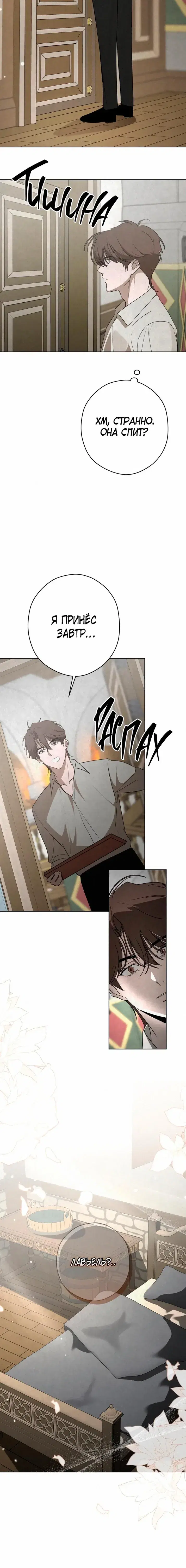 Page 8.001