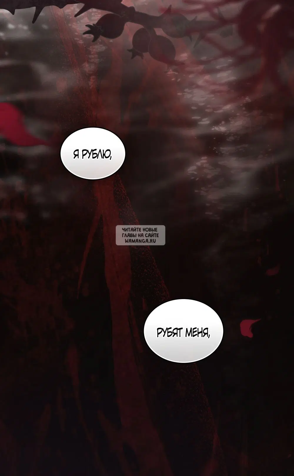 Page 37.000