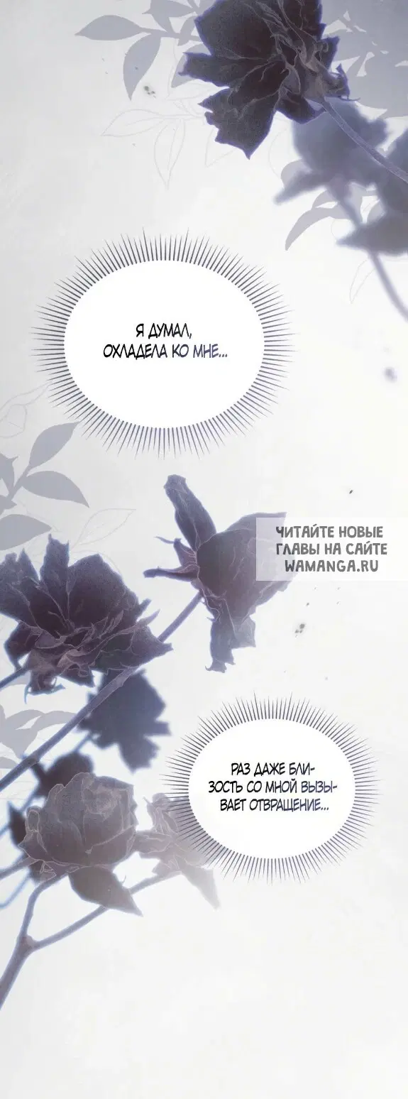 Page 43.000