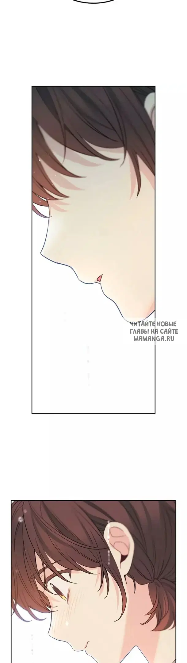 Page 36.000