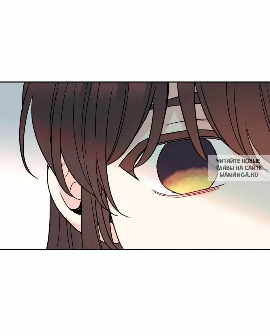 Page 55.000