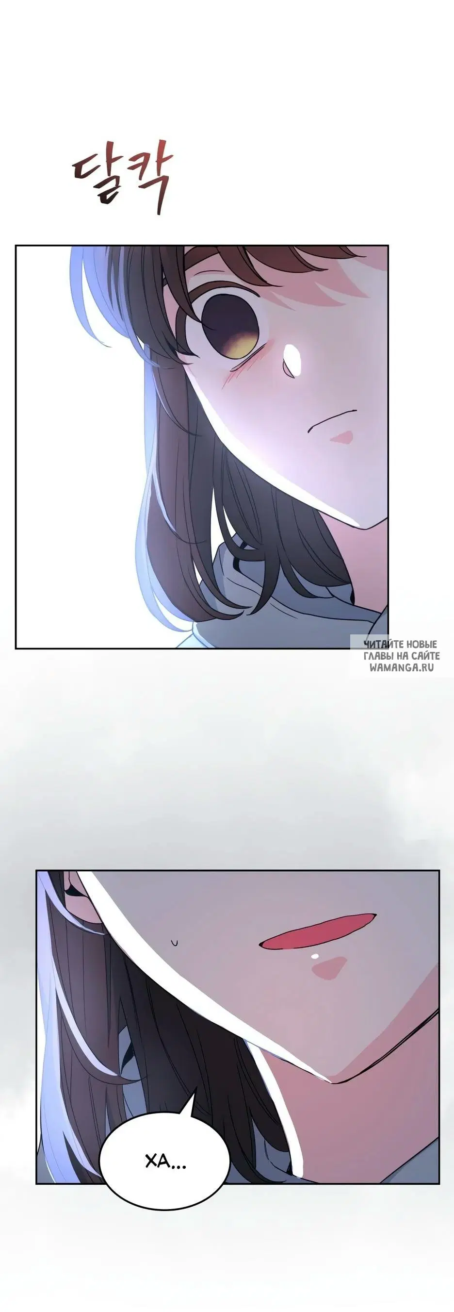 Page 61.000
