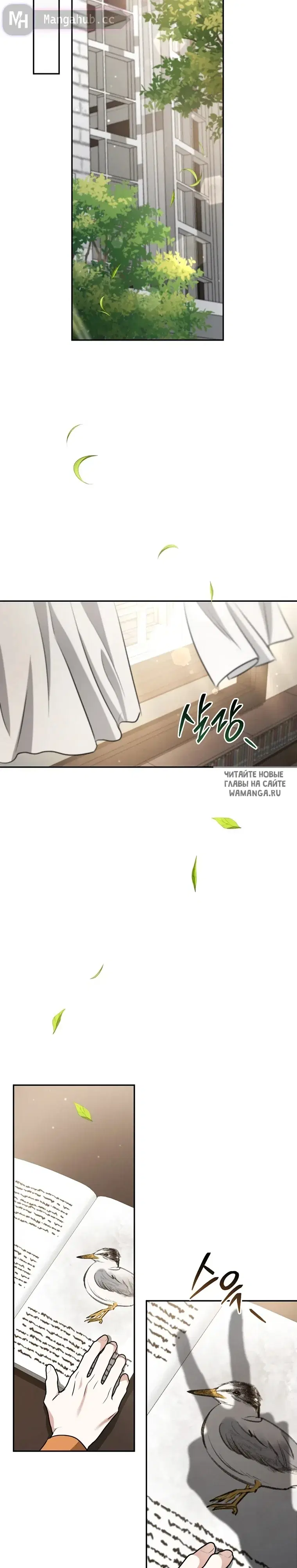 Page 17.000