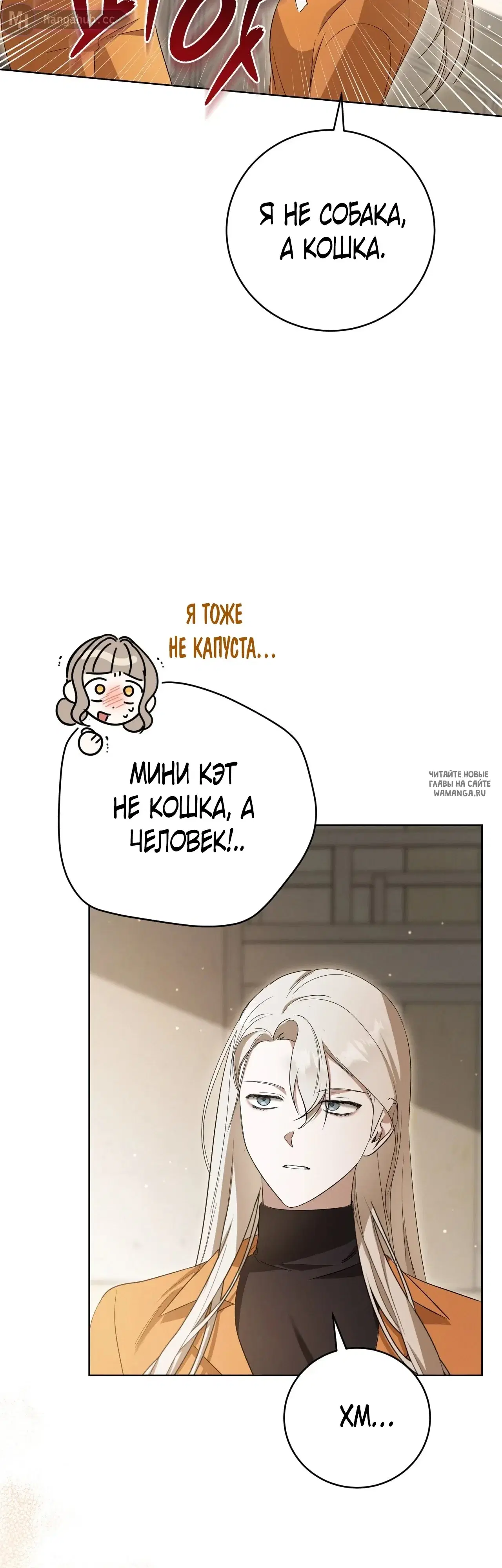 Page 64.000