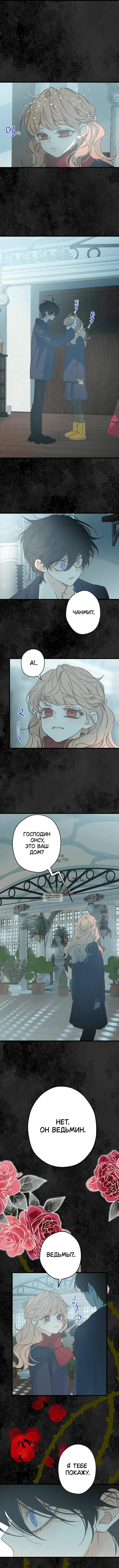 Page 6.000