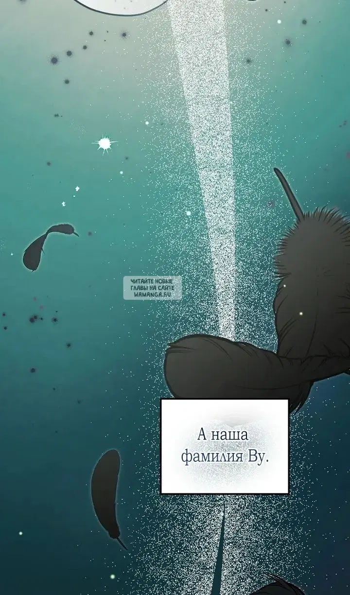 Page 30.000