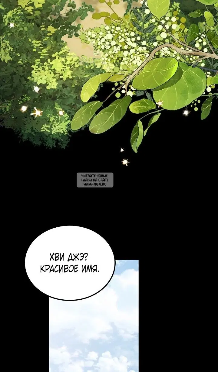 Page 43.000