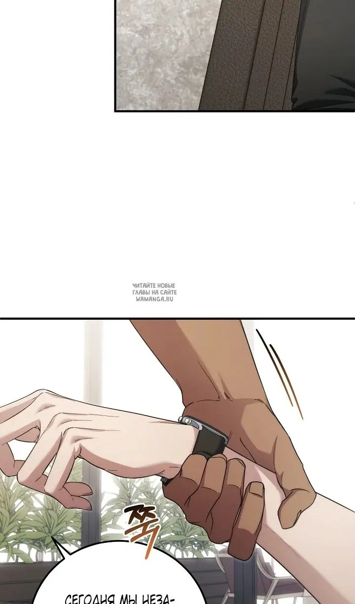 Page 81.000