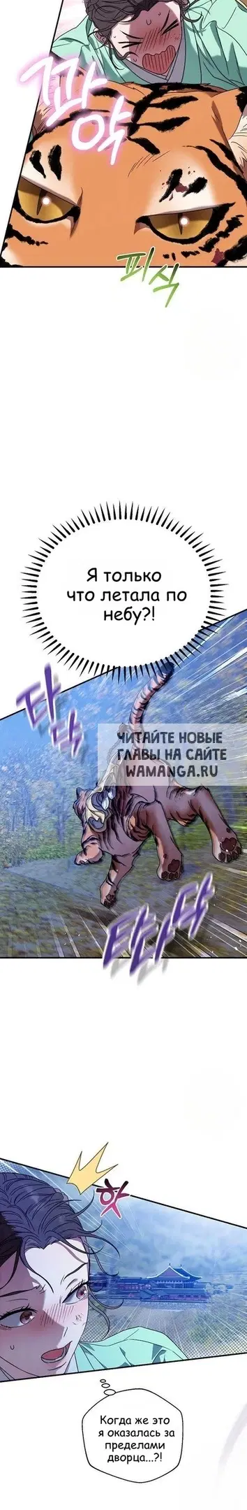 Page 23.000