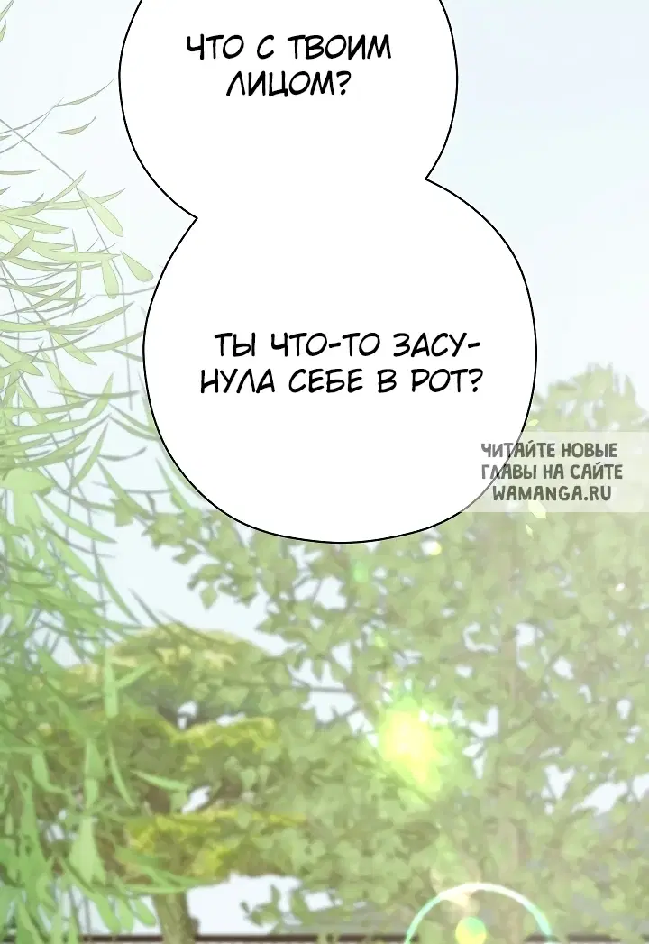 Page 41.000