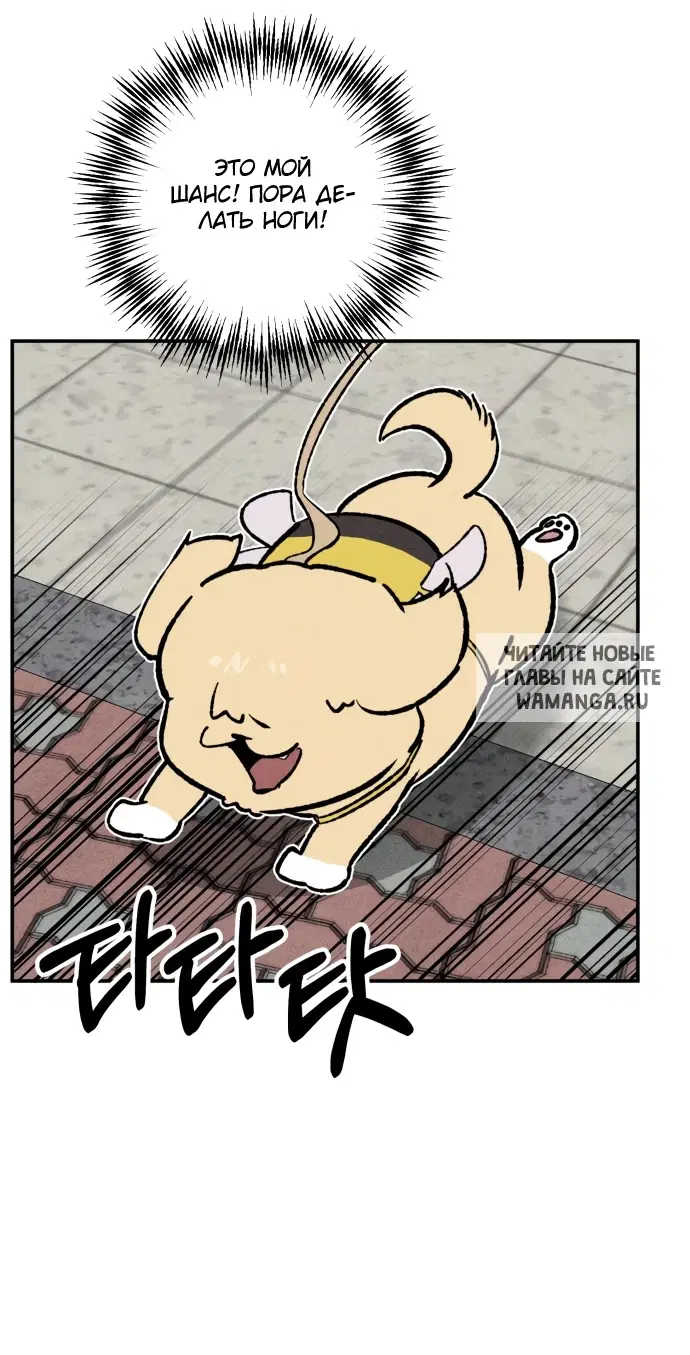 Page 16.000