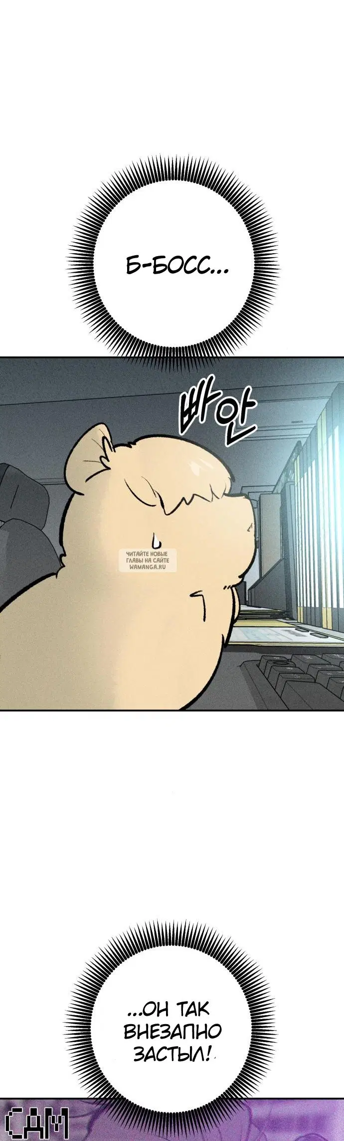 Page 17.000