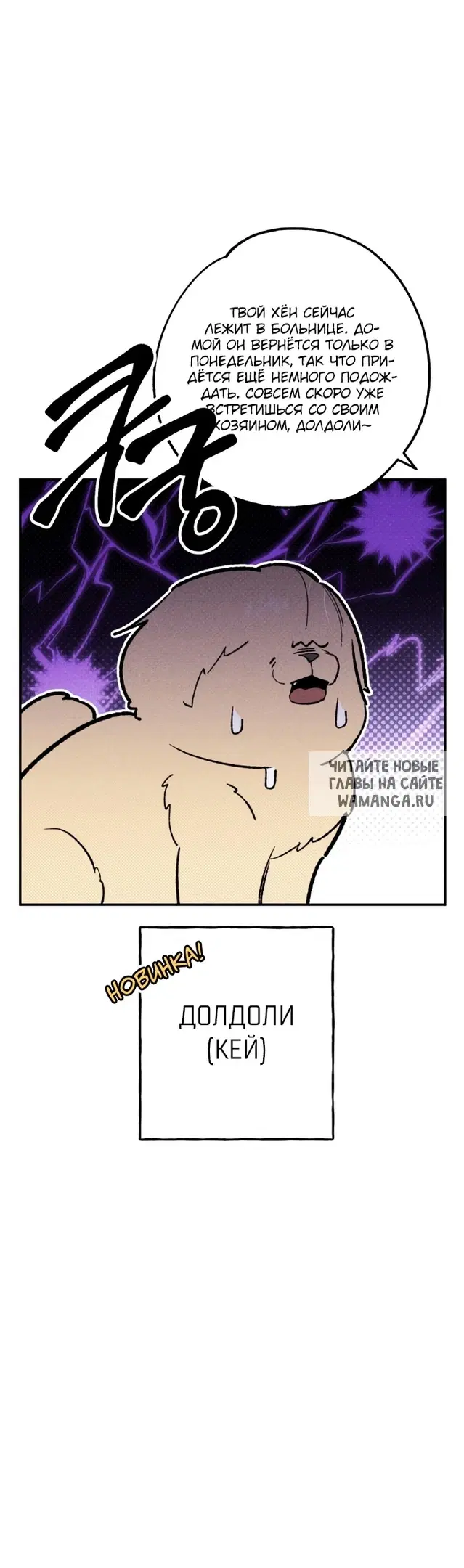 Page 13.000