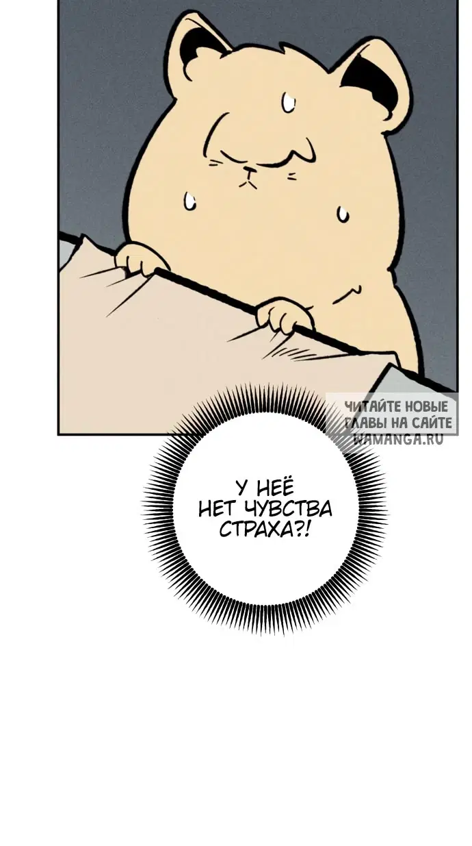 Page 24.000