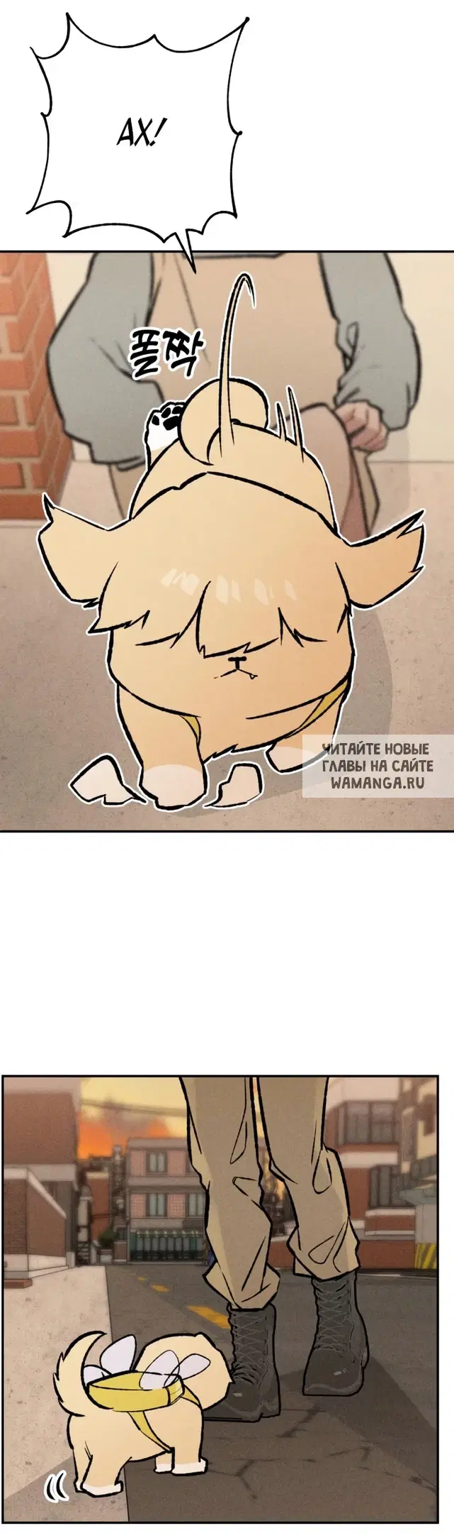 Page 23.000