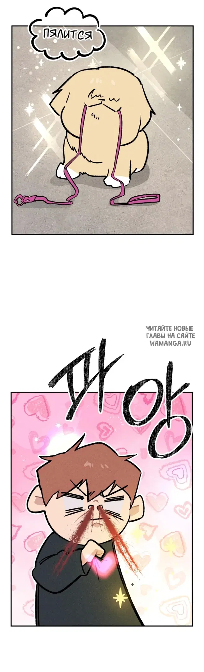 Page 35.000