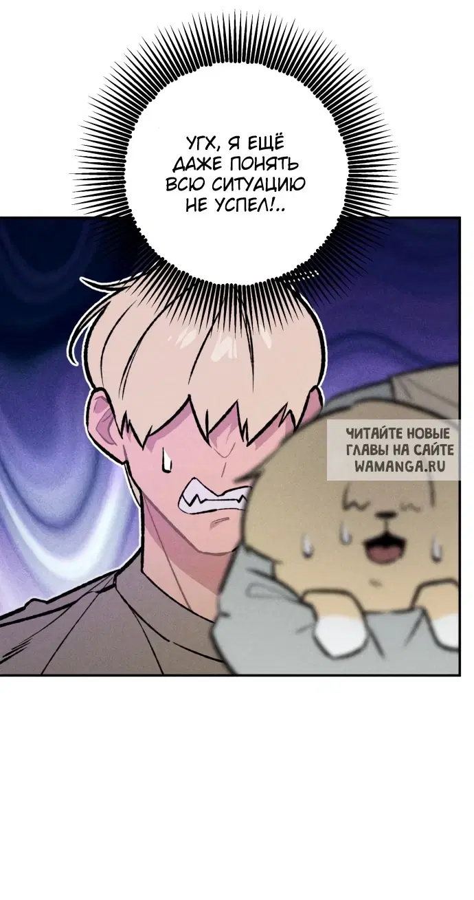 Page 31.000
