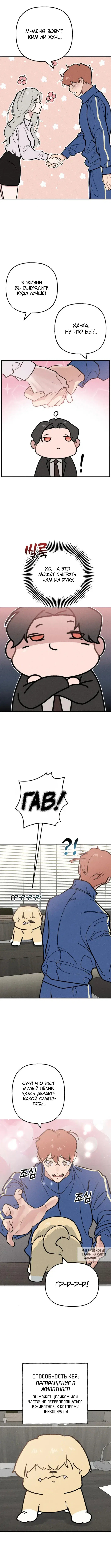 Page 3.000