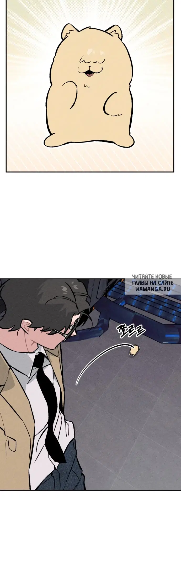 Page 33.000