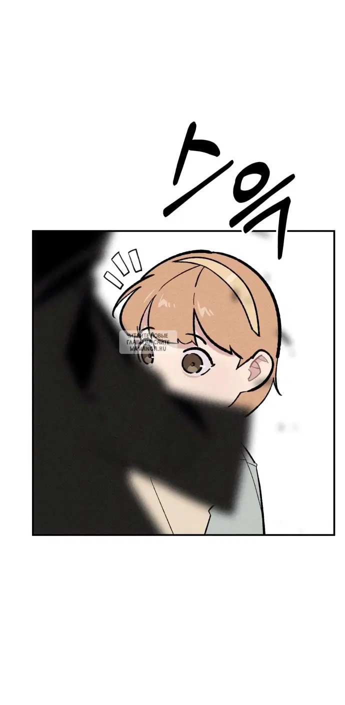 Page 41.000