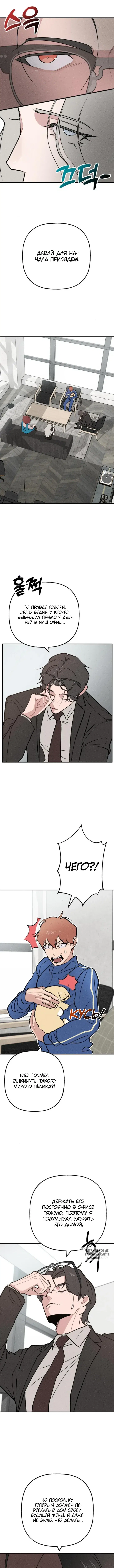 Page 4.000